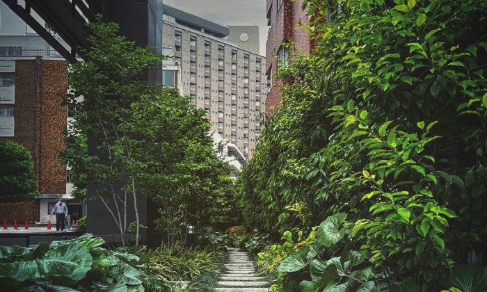 Tren properti ramah lingkungan