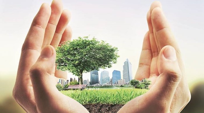 Sustainable living: The green revolution taking over real estate in ... Properti hijau berkelanjutan